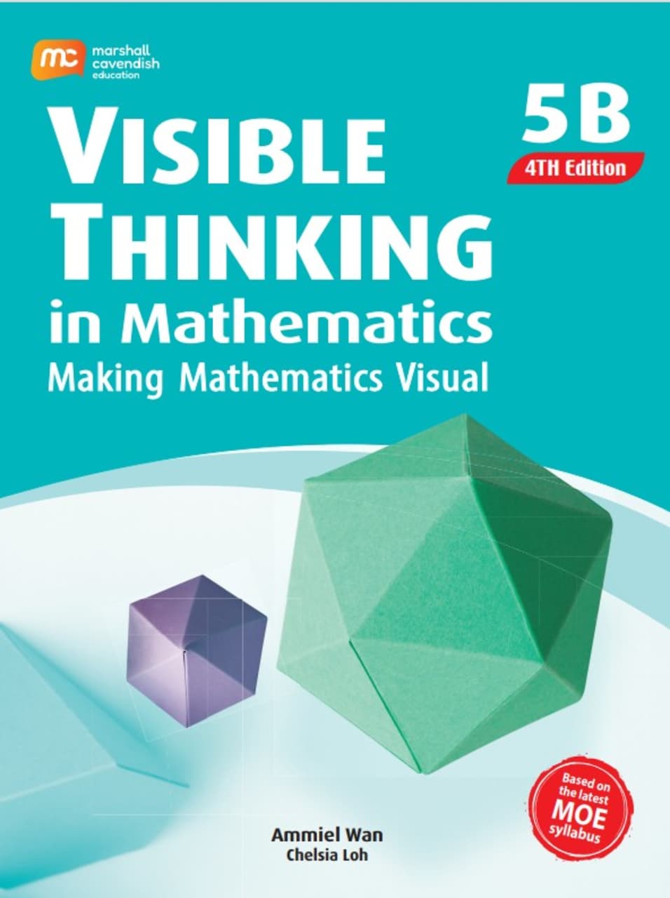 Visible Thinking in Maths P5B (4E)