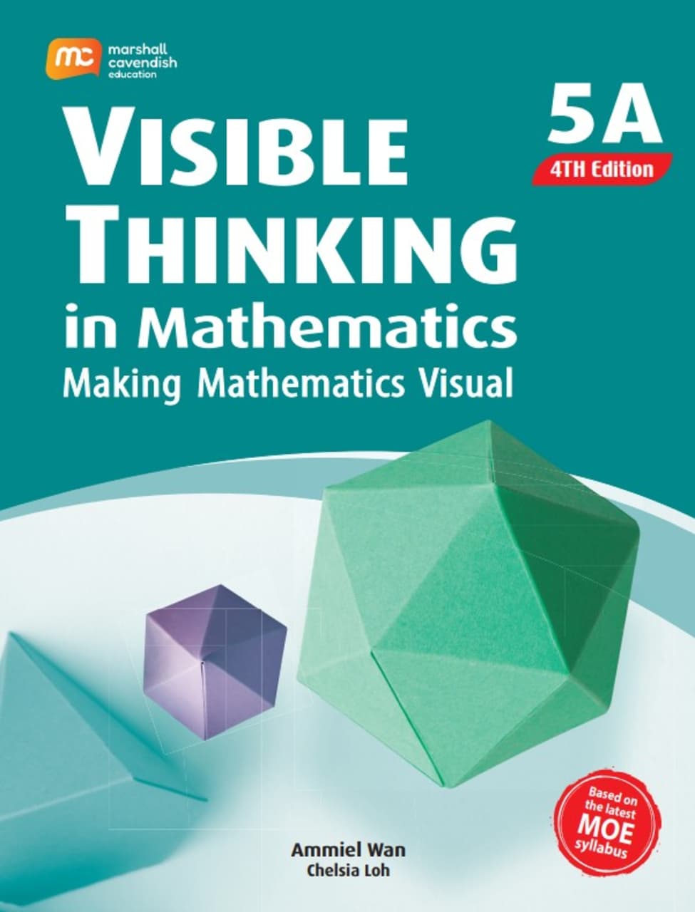 Visible Thinking in Maths P5A (4E)