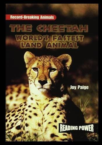Cheetah - World's Fastest Land Animal