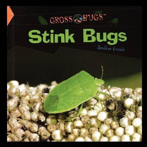 Stink Bugs