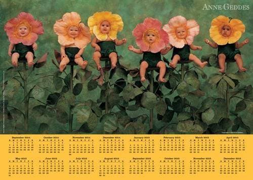 Anne Geddes 2014-15 16-Month Calendar Poster