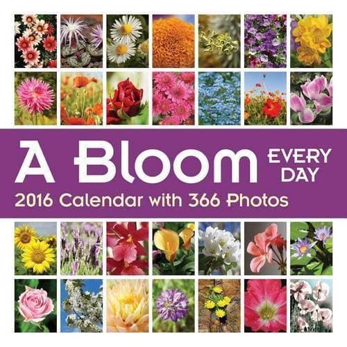 2016 A Bloom Every Day Wall