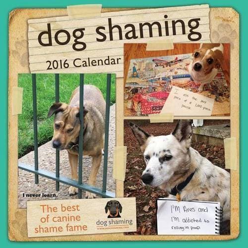 2016 Dog Shaming Wall