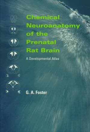 Chemical Neuroanatomy of the Prenatal Rat Brain