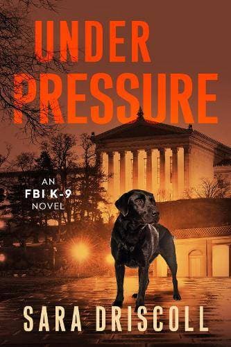 Under Pressure - A Spellbinding Crime Thriller