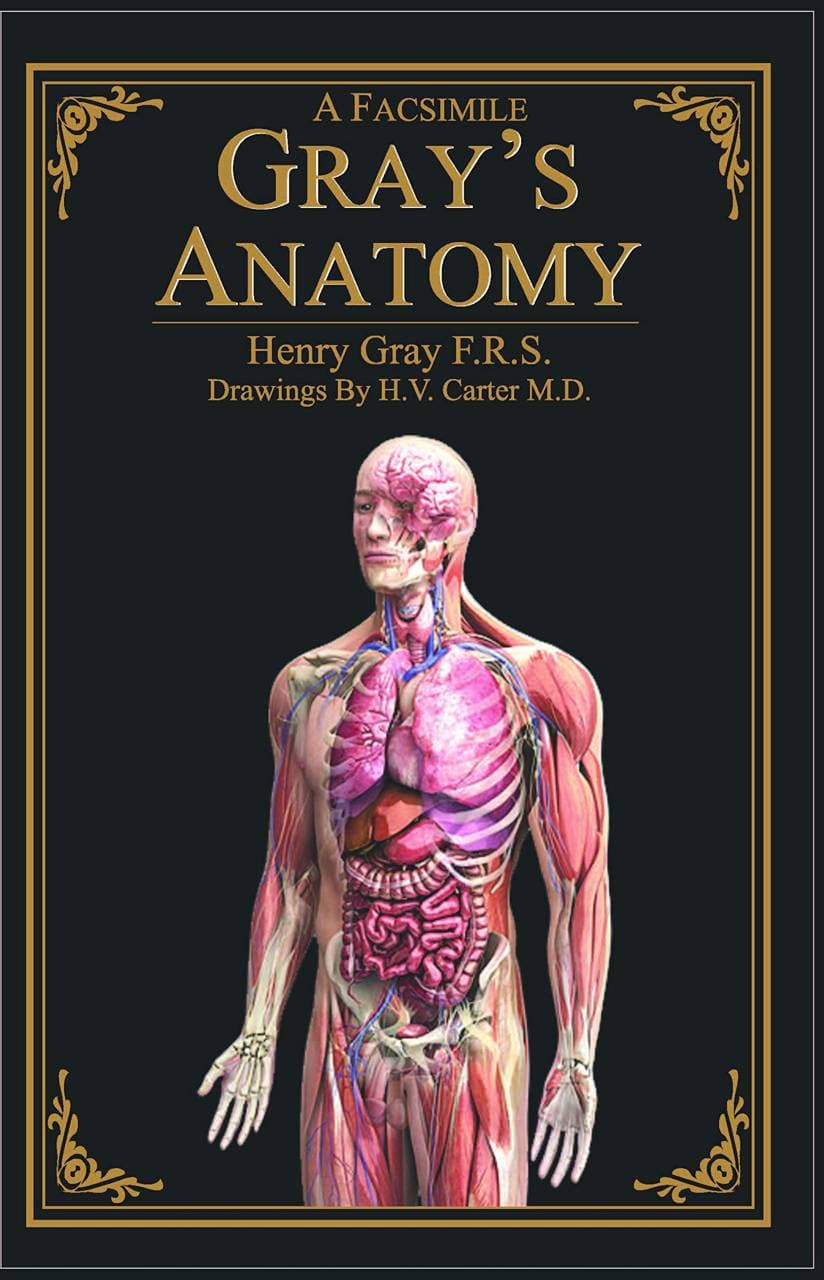 Facsimile Gray's Anatomy