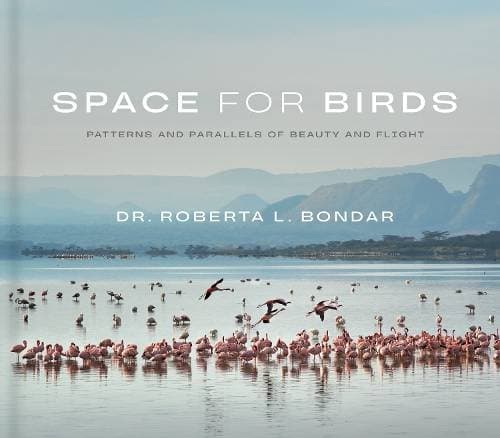 Space for Birds - Patterns and Parallels of Beauty and Flight