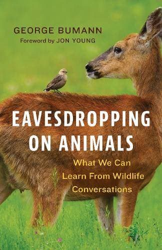 Eavesdropping on Animals - What We Can Learn From Wildlife Conversations