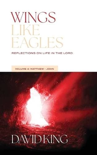 Wings Like Eagles - Reflections on Life in the Lord Vol. 4: Matthew-John