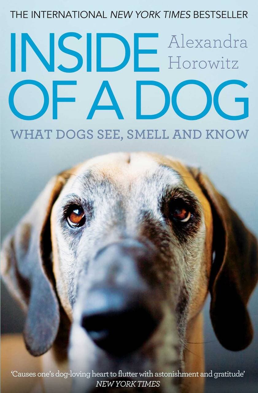 Inside of a Dog - What Dogs See, Smell, and Know