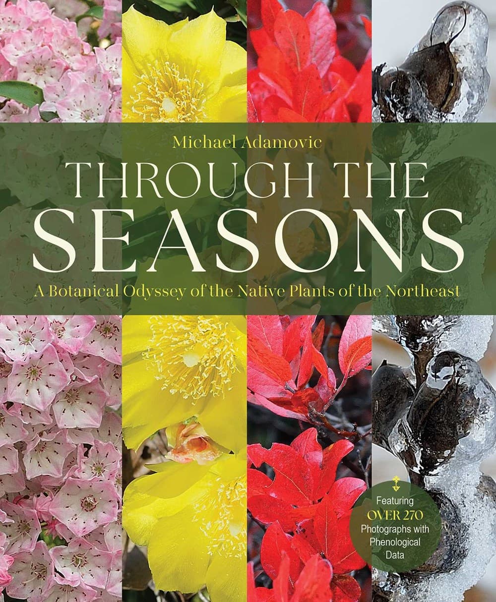Through the Seasons : A Botanical Odyssey of the Native Plants of the Northeast