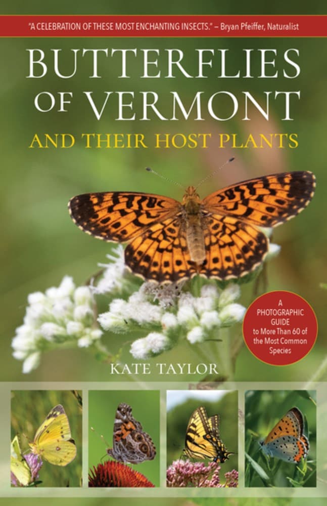 Butterflies of Vermont — image 1